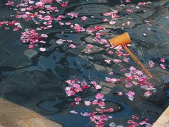 -苏州湾·王焰温泉