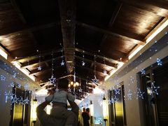 -浙江安吉JW万豪酒店·万豪中餐厅