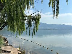 -西昌邛海湿地