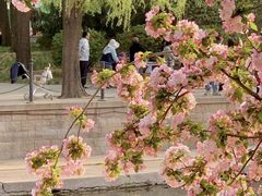 -元大都城垣遗址公园