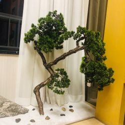 -JNK皮肤管理中心