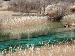 -九寨沟-树正沟
