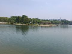 -丁香湖公园