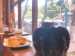-C.Y Cafe