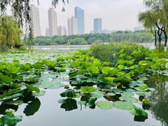 -后襄河公园