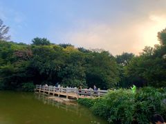 -云溪植物园