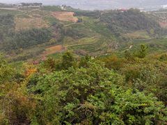 -汉中石门栈道景区