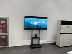 -TESLA 特斯拉(北京南四环中路特斯拉中心)