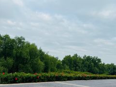 -深圳湾公园(南山区)