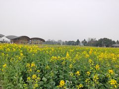 -中国天府农业博览园