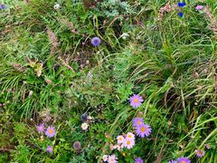 -白草畔自然风景区