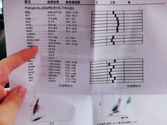 -爱侣宠医·鹦鹉专科·小型哺乳类·异宠专科(灵石路店)