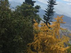 -安溪清水岩