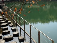 -冶父山国家森林公园