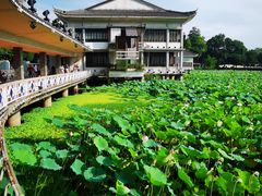 -荔湾湖公园
