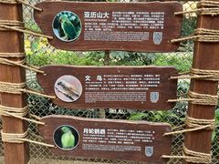 -南宫五洲植物乐园