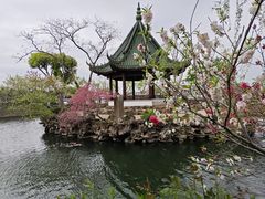 -无锡蠡湖国家湿地公园-蠡园