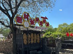 -老村长农家院