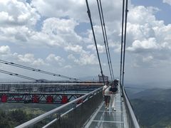 -梦幻奥陶纪景区