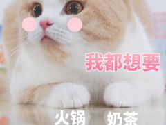 -格莱美量贩式KTV(国信店)