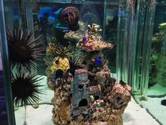 -太平洋海底世界