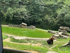 -杭州野生动物世界