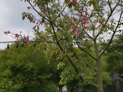 -五通灯塔公园