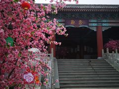 -厦门方特梦幻王国