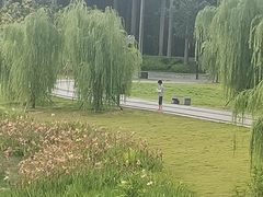 -南宁南湖公园