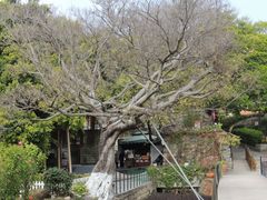 -胡里山炮台