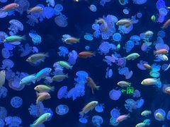 -海合安青岛极地海洋公园