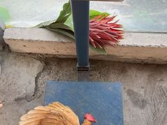 -马陆小张葡萄园农家乐