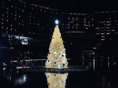 -三亚艾迪逊酒店·海滩烧烤 BARBACOA·现场乐队·浪漫晚餐·烧烤海鲜