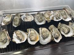 -洪湖家庭农场·团建·露营·会议