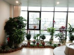 点击看大图 -北京家恩德仁医院-妇产科