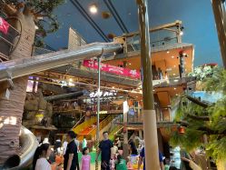 -卡通尼·Safari非洲探索乐园·生日会(金桥国际商业广场店)