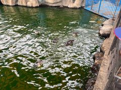 -华夏文旅海洋公园