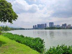 -飞来湖湿地公园