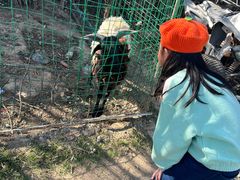 -粮心小农·大头虾亲子生态园(长发店)