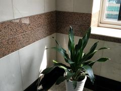 -上海置地广场(南京东路店)