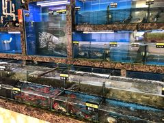 水产区-龙溪海鲜酒家(溪涌店)