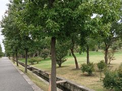 -广富林郊野公园