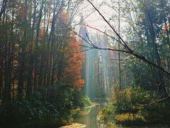 -桤木河湿地公园