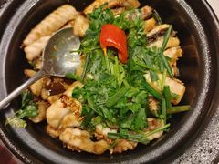 -朱记乳鸽王·非遗石岐乳鸽·全鸽宴(大兴旗舰店)