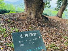 -西湖风景区十里琅珰-五云山