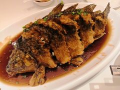-金春禧(世茂国际广场店)