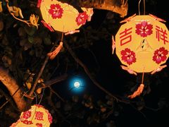 -南沙蒲洲花园