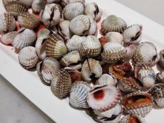 -华盛丰温州大排档(东三环南路店)