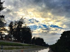 -宝安西湾红树林湿地公园