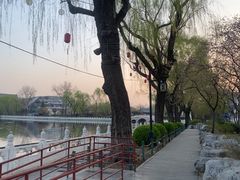 -莲花池公园